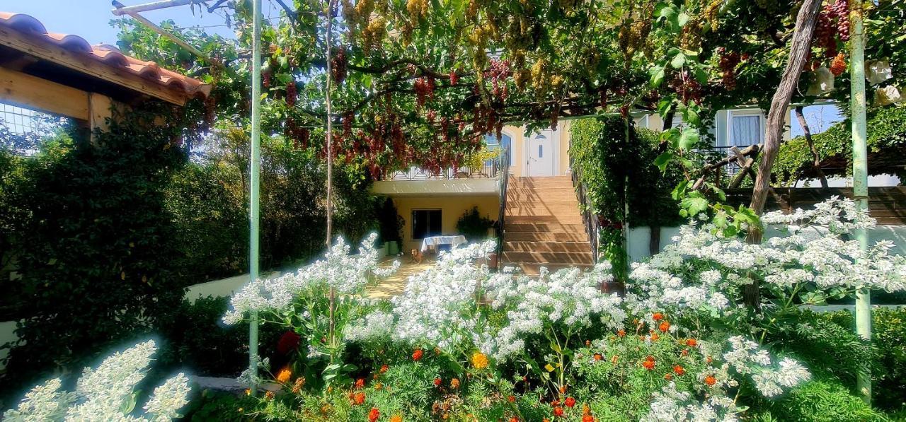 Οικια Elisabeth Apartment Artemida  Luaran gambar